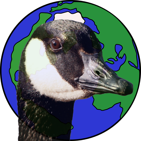 Logo Globe