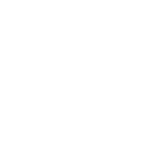 Logo White